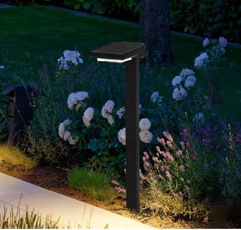Solar Powered LED Stake Lights with Auto On/Off 6 Pcs LED IP65 Waterproof