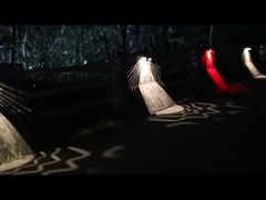 Solar Garden Wall Lights KF14A