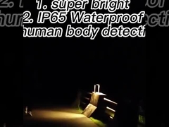 solar powered LED motion sensor lights