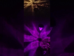 IP65 Waterproof Ground Level Landscape Lighting Solar Powered Landscape Lights