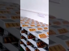 Waterproof durable Solar Pillar Road Stud For Pathway Safety